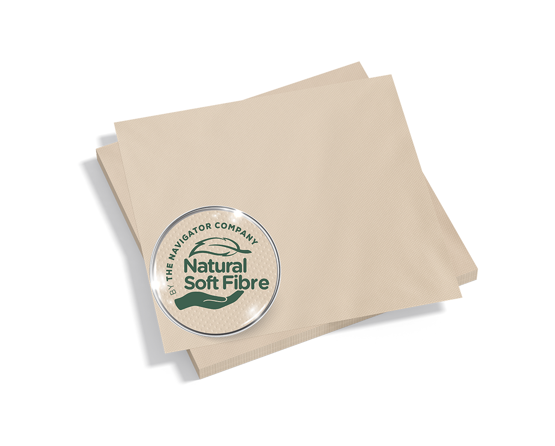 Guardanapo Amoos Naturally Soft 33x33 — RAS Embalagens