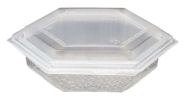 Embalagem hexagonal transparente com tampa, em fundo branco